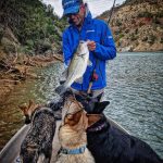 Entrevista a Alex Fabra – Defensor del Video Pesaje en Competiciones